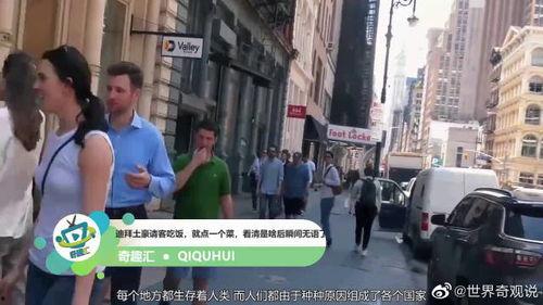 迪拜爆料新闻视频大全,揭秘城市背后的惊人真相与奇闻异事